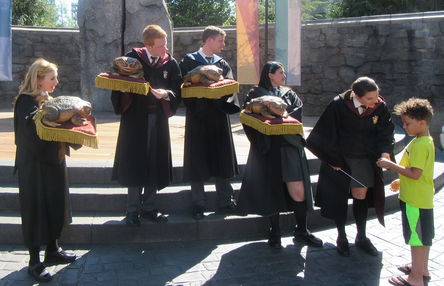 Wizarding world Frog Choir