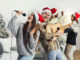 best Christmas songs being sung